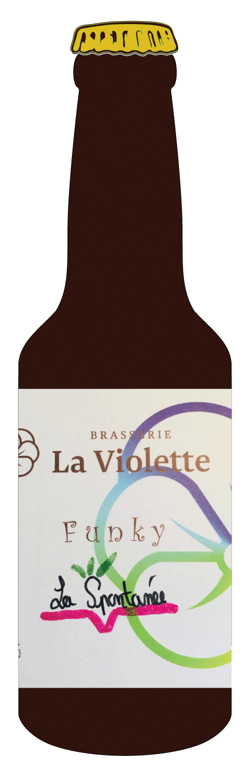 Bière CBD Bouteille bière CBD - two flowers IPA