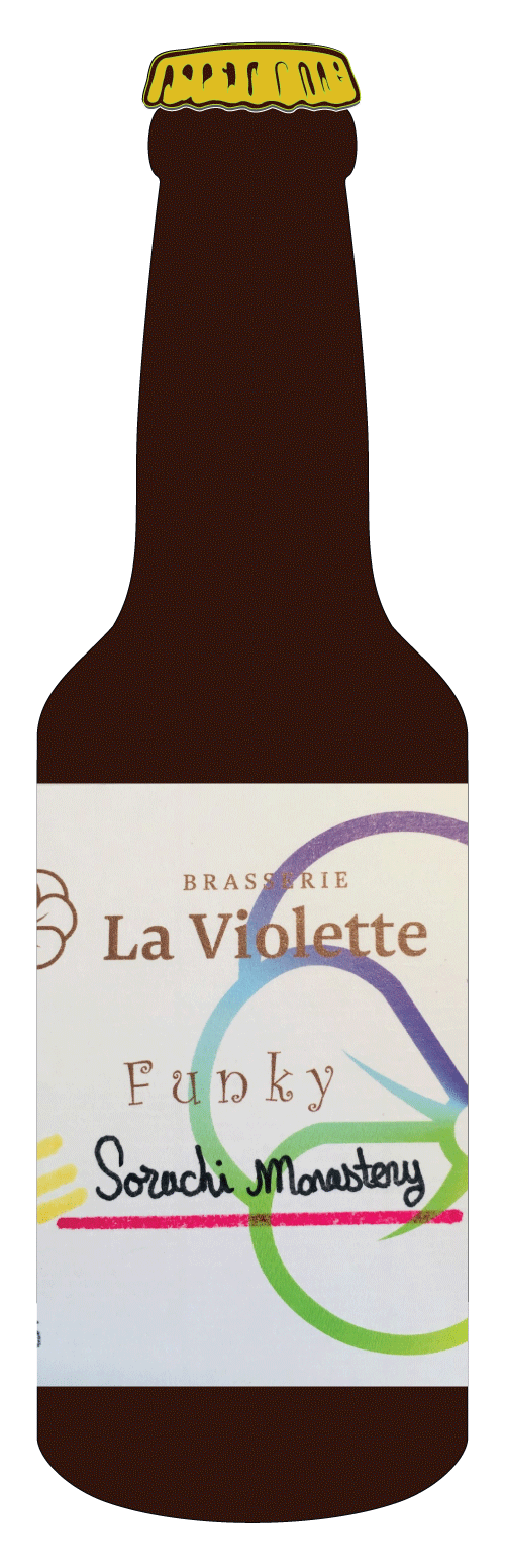 Bière CBD Bouteille bière CBD - two flowers IPA